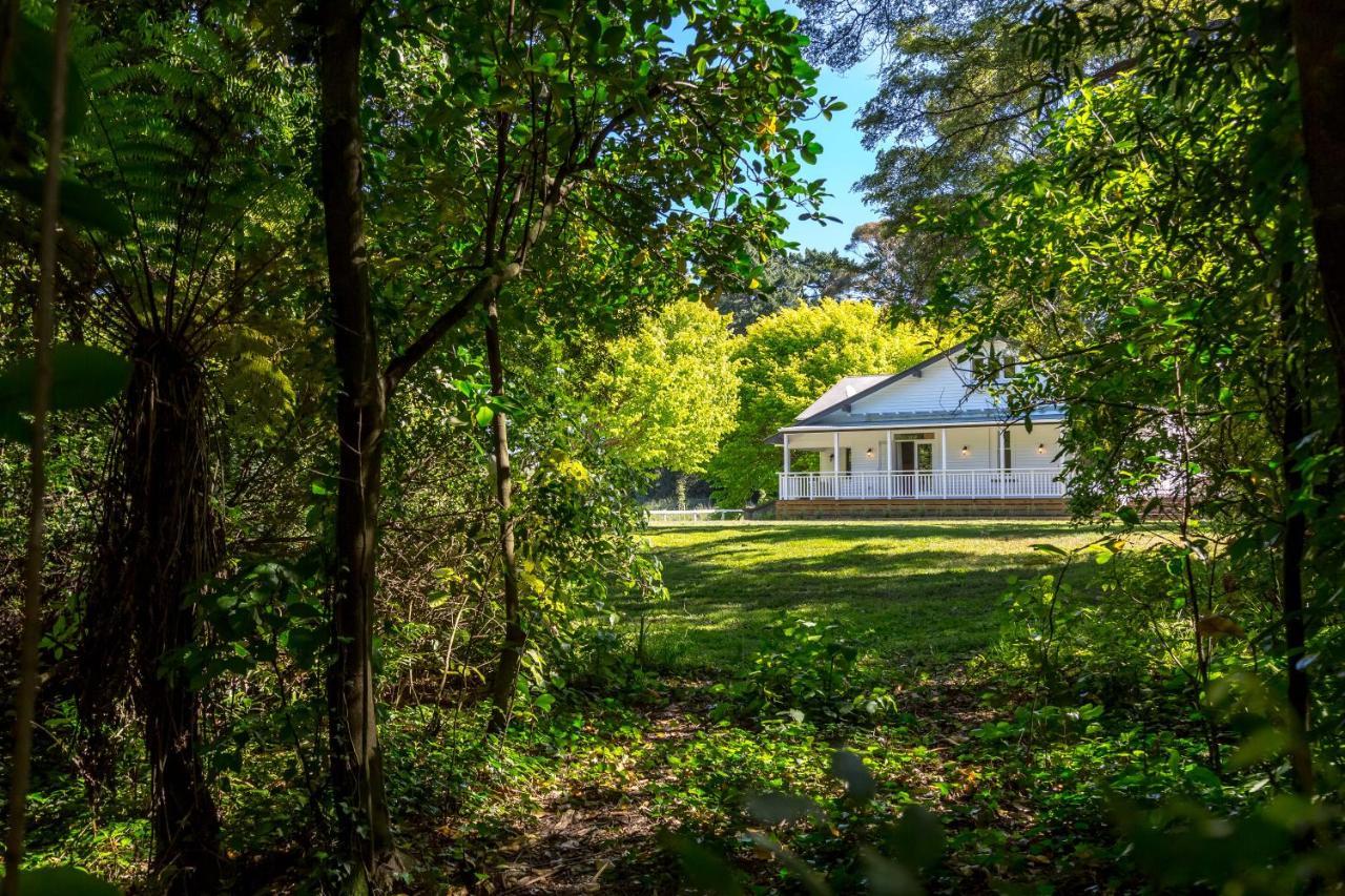 The Forest House Pirinoa Bagian luar foto