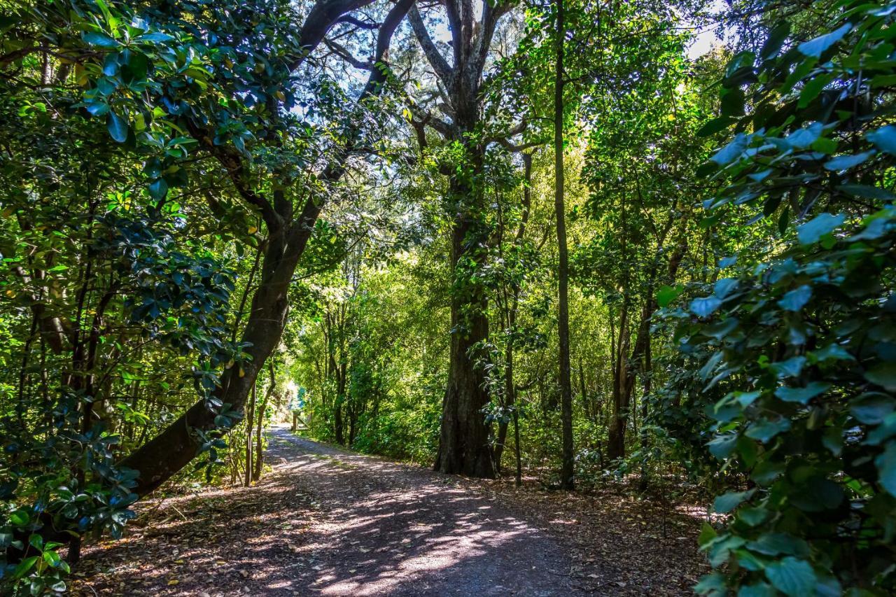 The Forest House Pirinoa Bagian luar foto
