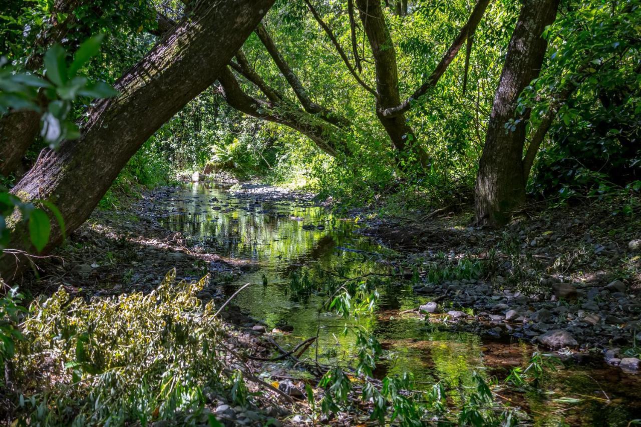 The Forest House Pirinoa Bagian luar foto